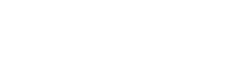 Magnaltus logo