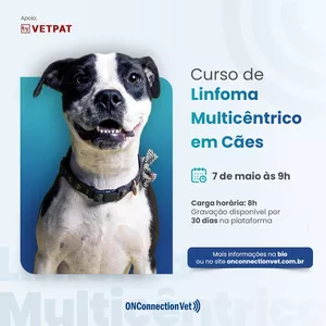 Imagem de capa para o Curso online Curso de Linfoma Multicêntrico em Cães