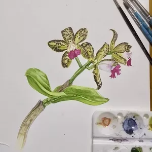 Imagem de capa para o Curso online Arte e Relaxamento: Aprenda Aquarela Botânica Online