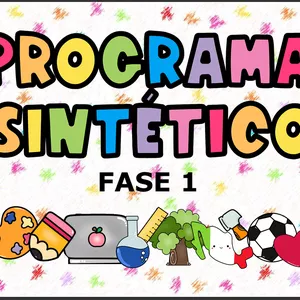 Imagen de portada para Curso online PROGRAMA SINTETICO FASE 1 NEM