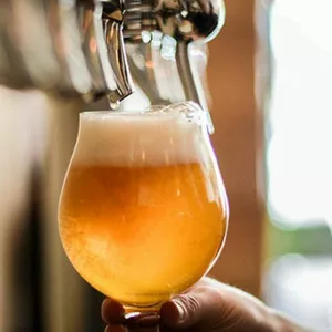 Imagen de portada para Ebook Curso de elaboración de Cerveza Artesanal