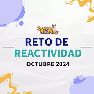 Imagen de portada para Curso online Reto de Reactividad