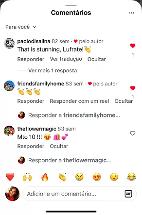 O que as clientes dizem, recomendações e testimonials do Curso Meu Primeiro Zoológico - Modele 25 Animais em Pasta Americana no Instagram