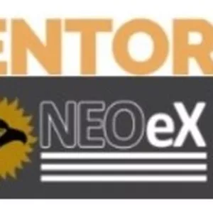 Imagem de capa para o Curso online MENTORIA NEOeX
