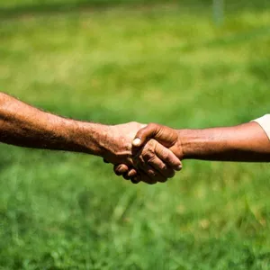 Curso básico de capacitação de corretores rurais