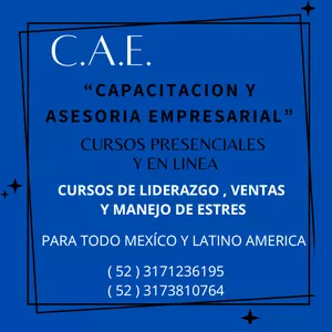 Imagen de portada para Curso online COACHING PARA EL LIDERAZGO EN EQUIPO 