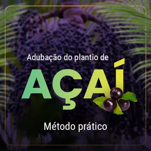 Imagem de capa para o Curso online Adubação do Açaí - Método prático para uma adubação de sucesso