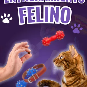 Imagen de portada para Ebook (EBOOK) Entrenamiento felino