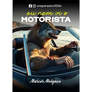 Imagem de capa para o Ebook Eu Nem Vi o Motorista