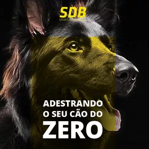 Capa do curso 
