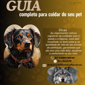 Imagem de capa para o Ebook Guia Completo Para Cuidar Do Seu Pet