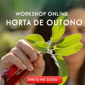 Imagem de capa para o Evento online Workshop Horta de Outono (ao vivo 23 de setembro)