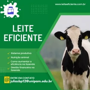 Imagem de capa para o Curso online Leite Eficiente