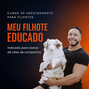Imagem de capa para o Curso online CURSO DE ADESTRAMENTO MEU FILHOTE EDUCADO