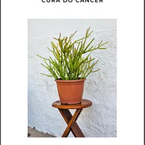 Imagem de capa para o Ebook Seca Cancêr - Avelós: A Receita Natural com Água para Fortalecer sua Saúde