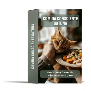 Imagen de portada para Curso online Comida Consciente Gatuna
