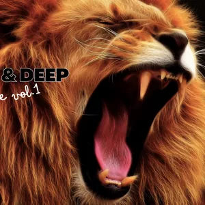 Cover image for Online course AFRO &amp; DEEP HOUSE VOL. 1