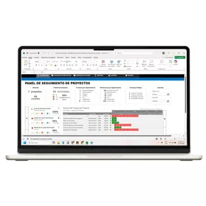 Imagen de portada para Curso online Plantilla Administración de proyectos en excel 