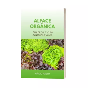 Imagem de capa para o Ebook Alface Orgânica