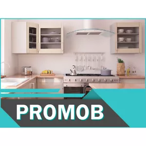 Imagem do curso PROMOB