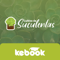 Curso Cultivo de Suculentas 