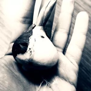 Imagen de portada para Ebook Ensayo - Filosofía I Montessori