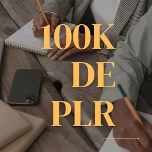 Imagem de capa para o Ebook 100K PLRs