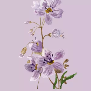 Imagen de portada para Ebook Jesús, María y José. La Sagrada Familia