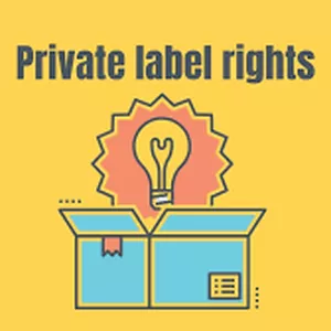 Cover image for Ebook eBook focused on Private Label Rights (PLR)