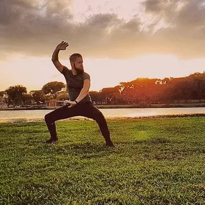 Imagem de capa para o Curso online Kung Fu Guerreiro Solar