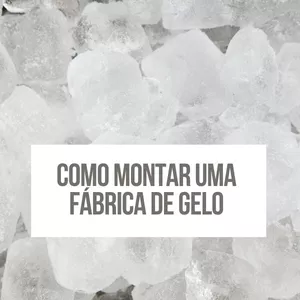 Imagem de capa para o Ebook Como Montar Uma FÁBRICA DE GELO