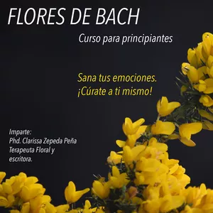 Imagen principal del producto Flores de Bach, curso para principiantes. Cúrate a ti mismo.