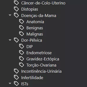 Imagem de capa para o Curso online 1690 Flashcards Anki de Ginecologia