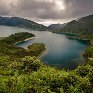 Imagem de capa para o Curso online Comunidade de comunidades