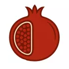 Foto do autor Camila Fontes Borges