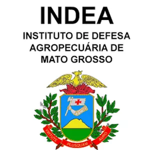 Imagem de capa para o Curso online INDEA 2022 - Direto ao ponto