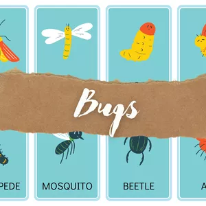 Cover image for Ebook Garden Creatures