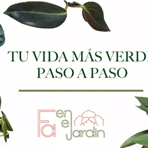 Imagen de portada para Curso online Tu vida más verde paso a paso 