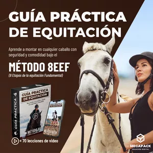 Imagen de portada para Ebook Guia practica de equitacion