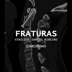 Imagem de capa para o Ebook FRATURAS: Guia sobre transformações e perseverança