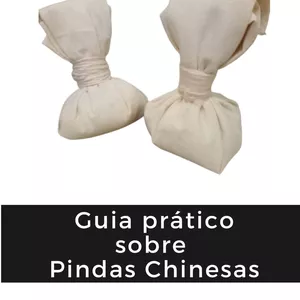 Imagem de capa para o Ebook Ebook - Guia prático sobre Pindas Chinesas 