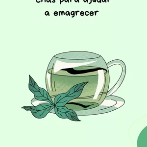 Imagem de capa para o Ebook Chás para ajudar Emagrecer 
