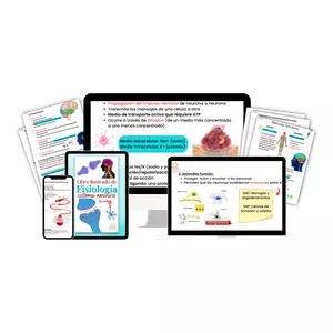 Imagen de portada para Curso online Libro del fisiología humana del sistema nervioso