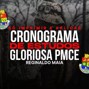 Imagem de capa para o Curso online CRONOGRAMA PMCE | PROF REGINALDO MAIA