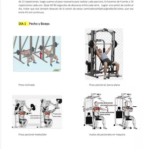 Imagen de portada para Curso online Fundamentos del Entrenamiento Correcto