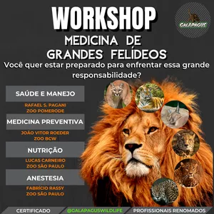 Imagem de capa para o Curso online Workshop Medicina de Grandes Felídeos
