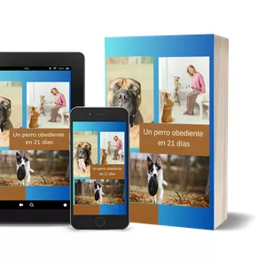 Imagen de portada para Ebook Perro Obediente