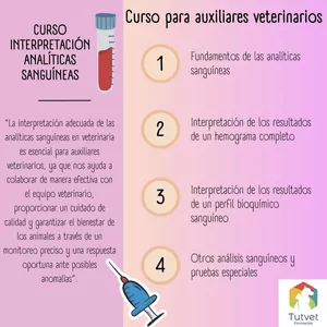 Imagen de portada para Curso online Curso interpretación analítica sanguínea para auxiliares veterinarios