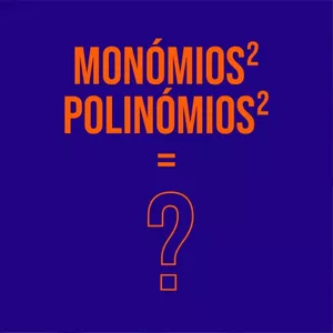 Imagem de capa para o Curso online Matemática para 3º ciclo - Monómios e Polinómios