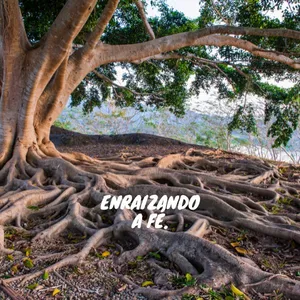 Imagem do curso Enraizando a Fé - Um Manual Prático para sua Jornada Devocional